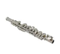 SONK Piccolo, Ensemble de Piccolo en C plaqué Argent détachable avec Chiffon de Nettoyage Tournevis étui Rigide en Cuir PU, Instrument de Musique Piccolo pour débutant(Argent)