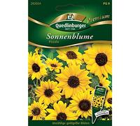 Sonnenblumen, Piccolo