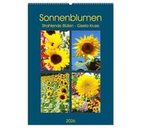 Sonnenblumen - Strahlende Blüten (Wandkalender 2026 DIN A2 hoch), CALVENDO Monatskalender: Sonnenblumen satt - im Feld und in der Vase