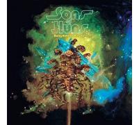 Sons of Huns - Banishment Ritual [Import]