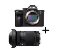 Sony A7 III + Sigma 20-200mm f/3.5-6.3 DG Contemporary