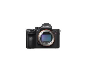 Sony A7R III + SEL 100-400 mm F4.5-5.6 OSS