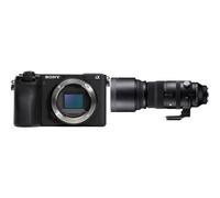 SONY Alpha 6700 + SIGMA 150-600mm f/5-6.3 DG DN OS Sports