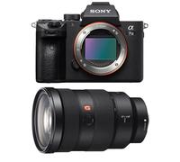 Sony Alpha 7 III + SEL FE 24-70 mm f/2.8 GM