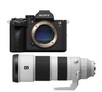 Sony Alpha 7R VI + FE 200-600mm F/5.6-6.3 G OSS