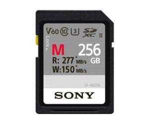 Sony Carte SD série M SFG2M - 256Go