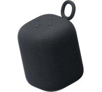 Sony Enceinte LinkBuds - Enceinte Portable sans Fil Bluetooth, IPX4, Résistante à l'eau, Batterie de 25 Heures, Qualité d'Appel Clair, Outdoor, Voyage - Noir