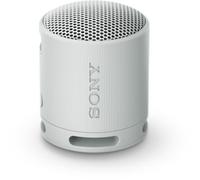 Sony SRS-XB100 Gris - Enceintes Bluetooth portables