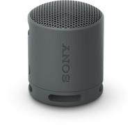 Sony - Enceinte Portable Srs-Xb100 Noire - Bluetooth, Étanche, Autonomie 16h