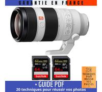 Sony FE 100-400mm f/4.5-5.6 GM OSS + 2 SanDisk 64GB UHS-II 300 MB/s + Guide PDF 20 techniques pour réussir vos photos