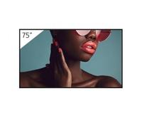 Sony Pro BRAVIA FW-75BZ40L - Display 75"