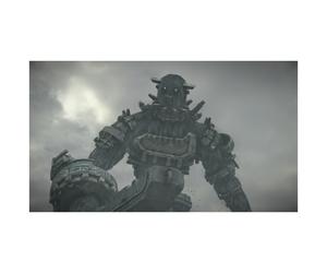 Sony Interactive Entertainment Shadow of the Colossus PlayStation 4