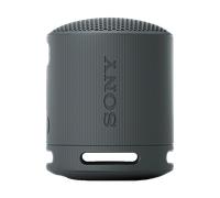 Sony SRS-XB100 Enceinte bluetooth portable - Noir