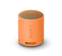 Sony SRS-XB100 Haut-parleur Bluetooth sans fil, portable, léger, compact, pour l'extérieur, durable, étanche IP67 et résistant à la poussière, batterie 16 heures, sangle, appels mains libres, nouveau