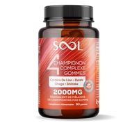 SOOL Gommes Complexe de 4 Champignons 2000 mg, 60 pièces, Saveur Fruits Rouges : Chaga, Reishi, Shiitake, Crinière de Lion | Gommes Nootropiques Haute Puissance | Mémoire & Concentration