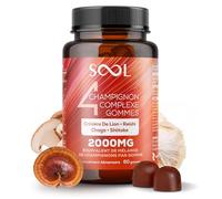 SOOL Gommes Complexe de 4 Champignons 2000 mg, 60 pièces, Saveur Naturelle : Chaga, Reishi, Shiitake, Crinière de Lion | Gommes Nootropiques Haute Puissance | Mémoire & Concentration