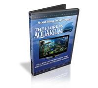 Soothing Seascapes from The Florida Aquarium