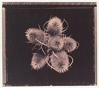 Sophia - Are You Happy Now