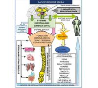 Sophrologie SDHEA Psychosomatique, respiration sophronique,relaxation SDHEA - Jean-Louis Penin - Books On Demand - broché - Guide