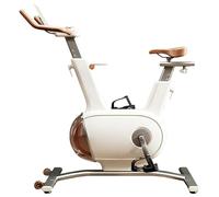 Sophy W1 Vélo d'Appartement Vélo d'Intérieur avec doubler Volant d'Inertie de 10kg, Vélos Stationnaires Silencieux pour la Maison