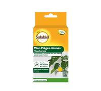 SOPIFLORN - Mini-Pièges Jaunes Moucherons Discret pour Plantes D'Intérieur