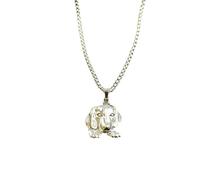 Sopodbacker Collier Pendentif Argent Bijoux Hommes Femmes Necklace Puppy Pendentif Collier Street Hip Hop Rétro Party Géométrique Mariage Punk Cadeau 链长70Cm