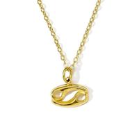 Sopodbacker Collier Pendentif Argent Bijoux Hommes Femmes Necklace Signes 12 Constellation Collier Imperméable Pendentif Bijoux Femme Usure Quotidienne Xk036-4