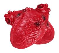 SOPOTUTU 2 Pièces Simulated Heart Props Halloween Decoration Lightweight Vinyl Scary Organ for Haunted House Party Scene
