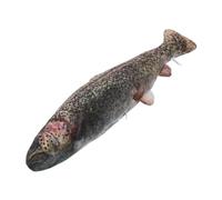 SOPOTUTU Fish Pillow Plush Toy Soft Realistic Stuffed Fish Doll for Multipurpose Cuddly Home Decoration Cushion for Bed Couch Travel