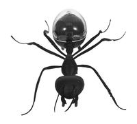 SOPOTUTU Insecte Solaire Fourmi 1 Pièce, Modèle D’Insecte Éducatif à Énergie Solaire, Scientifique pour Garçon et Filles, pour Activités Intérieures et Extérieures, Kit D’Apprentissage