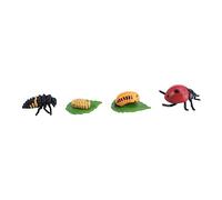SOPOTUTU Modèle Animal Réaliste Coccinelle Cycle Vie Éducatif pour Garçon Fille Décoration Pédagogique
