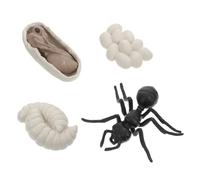SOPOTUTU Modèle de Ouvrière Éducatif Cycle de Vie Cognitif pour Garçon Fille Figurines Réalistes et Colorées pour Apprentissage Précoce