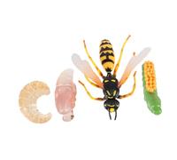 SOPOTUTU Modèle Pédagogique Cycle Vie Guêpe Éducatif Garçon Fille Figurines Réalistes pour Apprentissage Sensoriel Cadeau Garçon Fille Ans