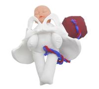 SOPOTUTU Simulateur D'accouchement Réaliste Modèle D'os Pelvien Féminin en Pvc, Outil Polyvalent pour Enseignement Obstétrical et Éducation Prénatale