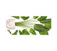 SOPOTUTU Sticker Mural Plante Pot Décoration Murale Verte Réaliste pour Salon Chambre et Intérieur Autocollant DIY et Pratique Décor Naturel et