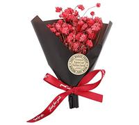 Sorand Fleurs séchées Naturelles, Accessoires de Photo de Fleurs de Bouquet de Fleurs séchées Naturelles de Mini Fleurs séchées pour Le Mariage/la fête/la Maison, Non Toxiques/sûres(Rouge)