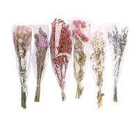 Sorandy 6pcs Nature Florale Inspirée de Literie Habitat Décor, Bouquets de Fleurs Séchées Exquises Décoration de Cage Adaptée aux Changements de Cages et Habitats pour Animaux de