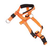 Sorandy Harnais de Tête pour Chien Durable et Doux pour Une Respiration Facile, Muselière à Sangle Réglable pour Chiens Lors D'aventures en Plein Air, 1x Muselière pour Chien (L)