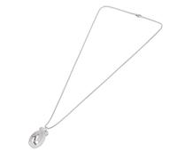Sorandy Société Commémoratif du Pendentif pour Chats en Acier Inoxydable pour Le Travail, Collier d'urne pour Animaux de Compagnie, école. Léger, Robuste, à la Mode, Portable, Facile à