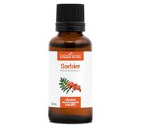 Sorbier BIO - 30mL - (Sorbus Domestica) - Macérat concentré de bourgeons frais