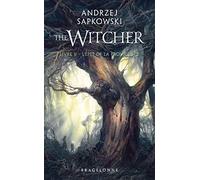 Sorceleur (Witcher) - Poche , T2 : L'Épée de la providence