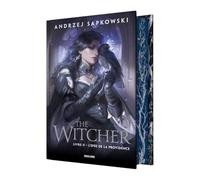 Sorceleur (Witcher), T2 : L'Epée de la Providence (édition reliée)