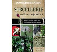 Sorcellerie en France aujourd'hui