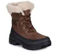Sorel Torino V Parc Waterproof Outdry – Femme – Marron/Noir – Taille 41 – Modèle 2026