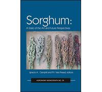 Sorghum: A State of the Art and Future Perspectives