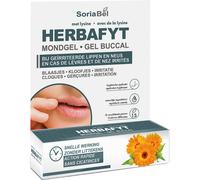 Soria Natural Dermosor Herbafyt Gel Buccal Lèvres Et Nez Irrités Tube 5g