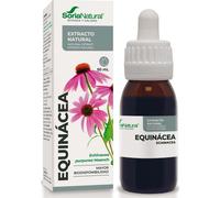 Extracto Equinacea Xxi 50 Ml Soria Natur *