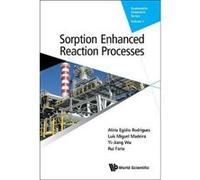 Sorption Enhanced Reaction Processes: 1 (Sustainable Chemistry Series) - [Livre en VO] Alãrio Egãdio Rodrigues, Luãs Miguel Madeira, Yi - Jiang Wu, Rui Faria (Auteur)