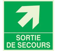 SORTIE DE SECOURS FLECHE EN HAUT A DROITE LUM.200x200mm TALIAPLAST - 638408