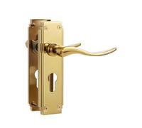 SORWDUERM 1 paire de poignées de porte intérieure Hanovrienne en PVC doré, levier de verrouillage européen court pour portes intérieures en bois, compatible avec les portes britanniques standard